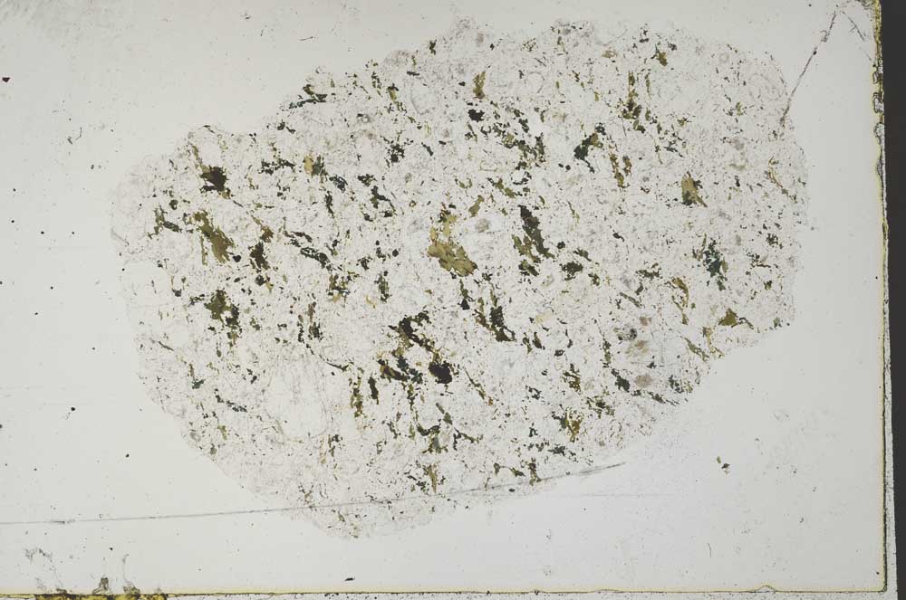 Plane Polarized, S51765