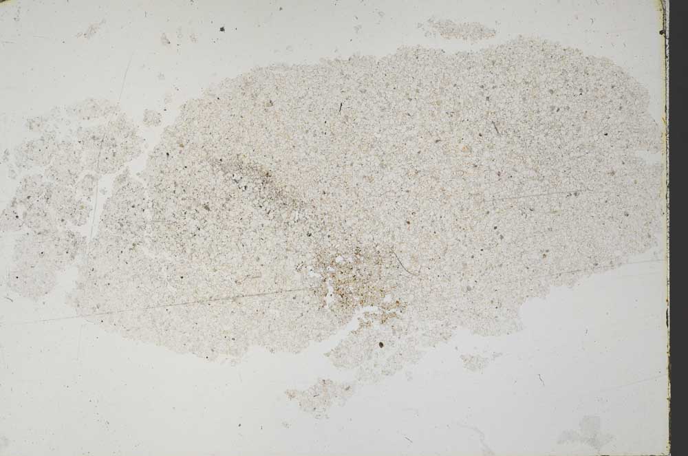 Plane Polarized, S51773