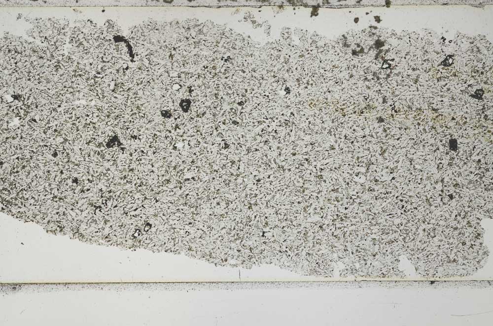 Plane Polarized, S51775