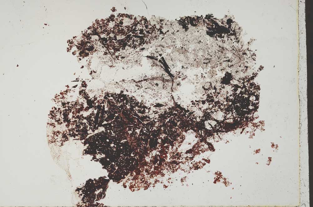 Plane Polarized, S51800