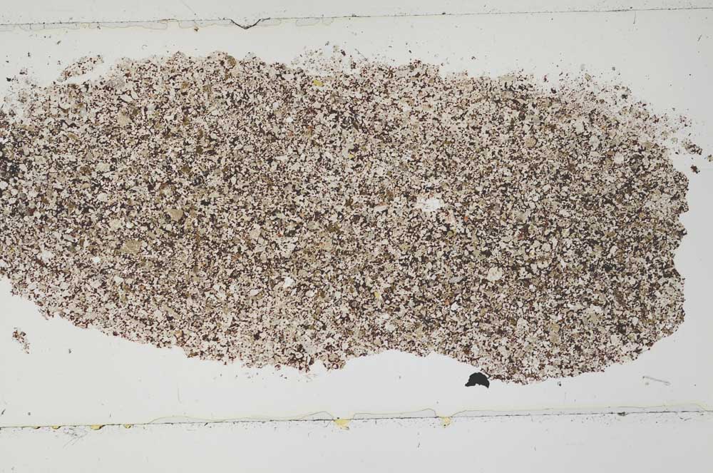 Plane Polarized, S51846