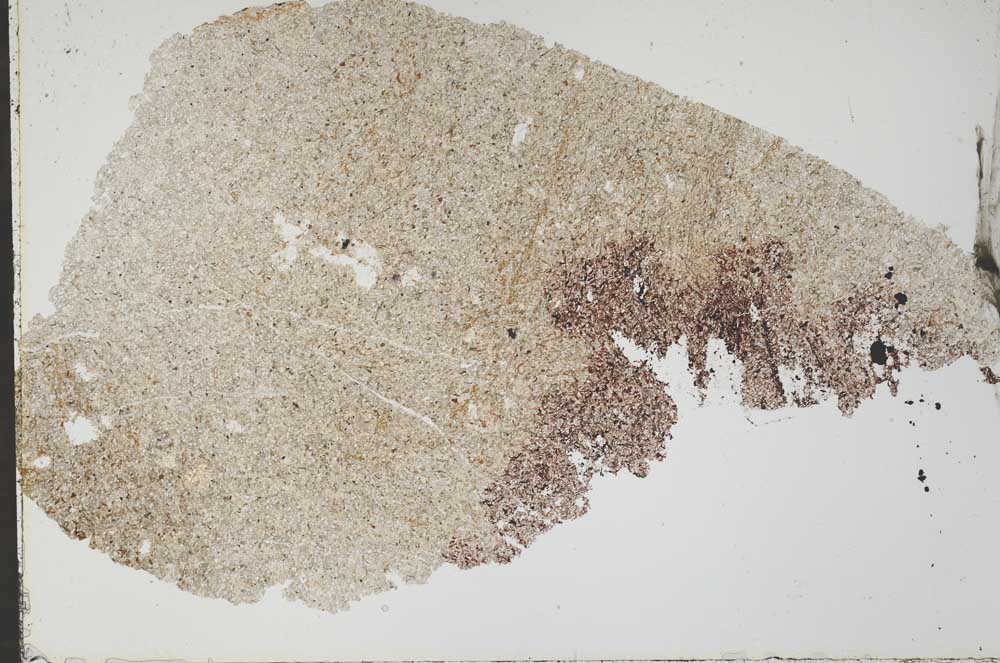 Plane Polarized, S51856