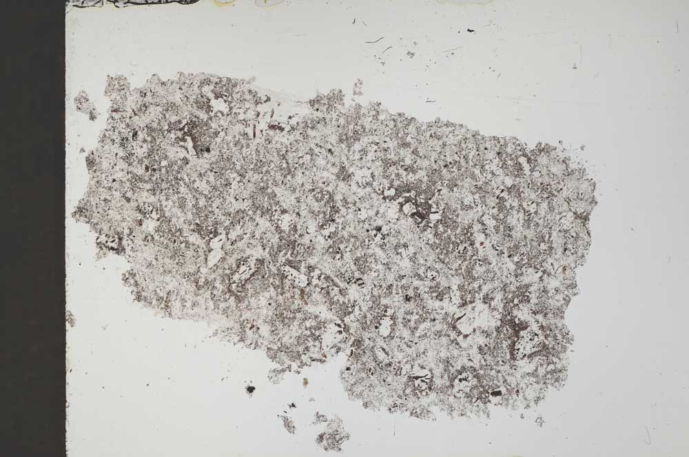 Plane Polarized, S51862