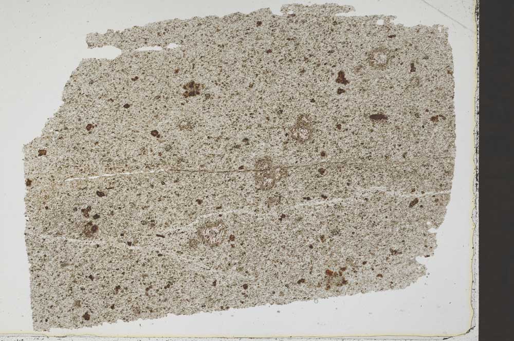 Plane Polarized, S51881