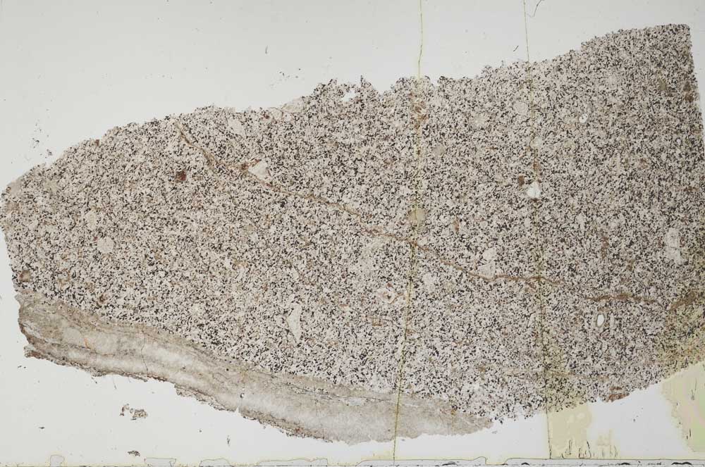 Plane Polarized, S51895