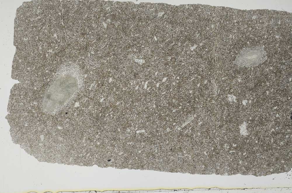 Plane Polarized, S51907