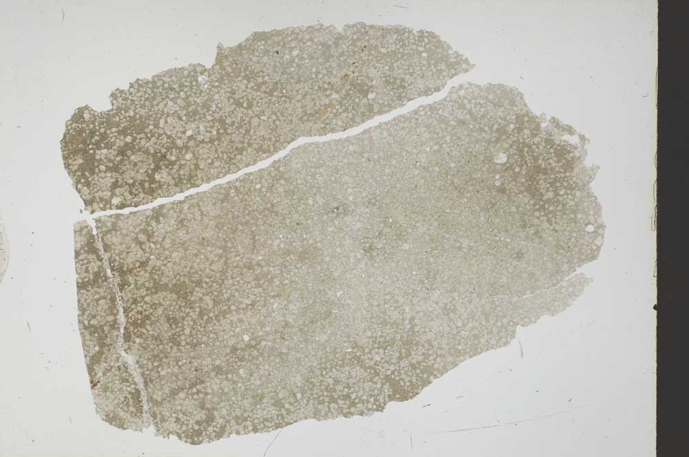 Plane Polarized, S51914