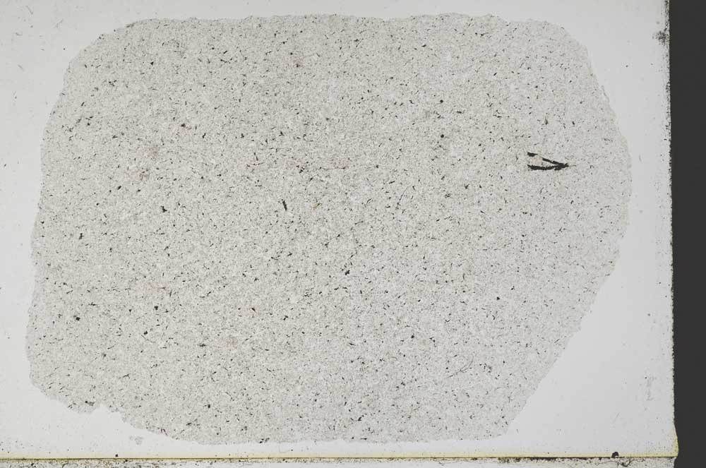 Plane Polarized, S51920