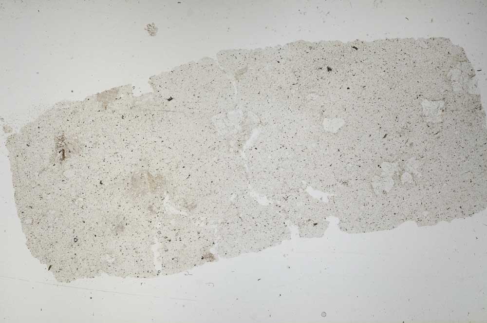 Plane Polarized, S51923