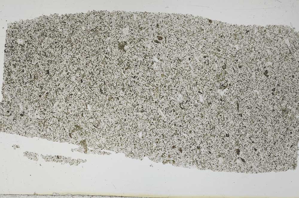 Plane Polarized, S51937