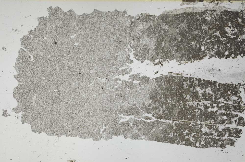 Plane Polarized, S51948