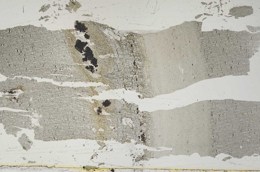 Plane Polarized, S51949