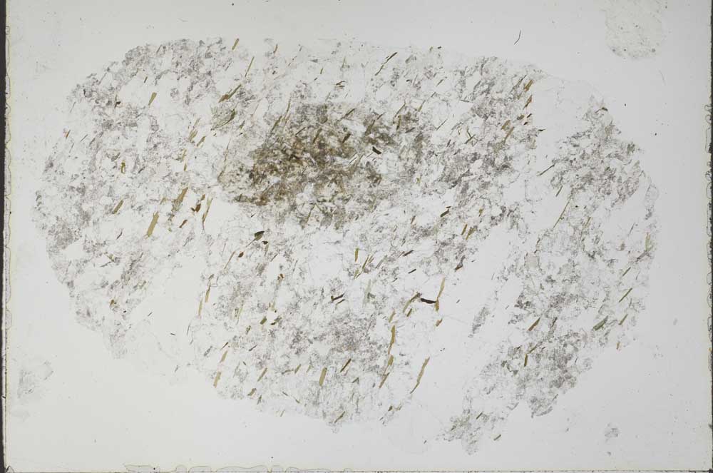 Plane Polarized, S51956