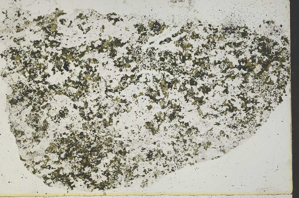 Plane Polarized, S51959