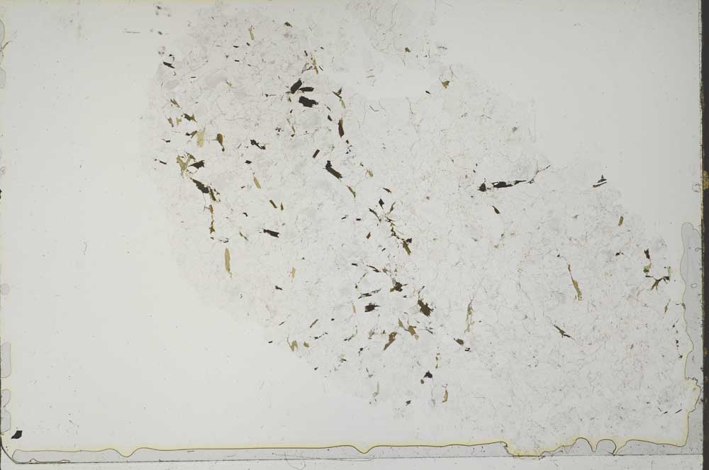 Plane Polarized, S51962