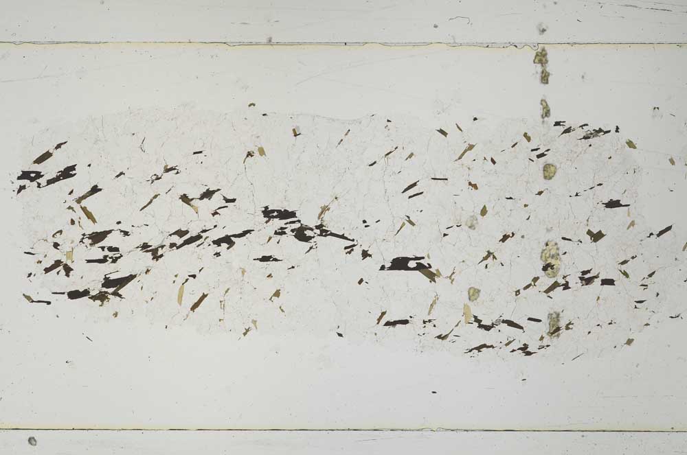 Plane Polarized, S51964