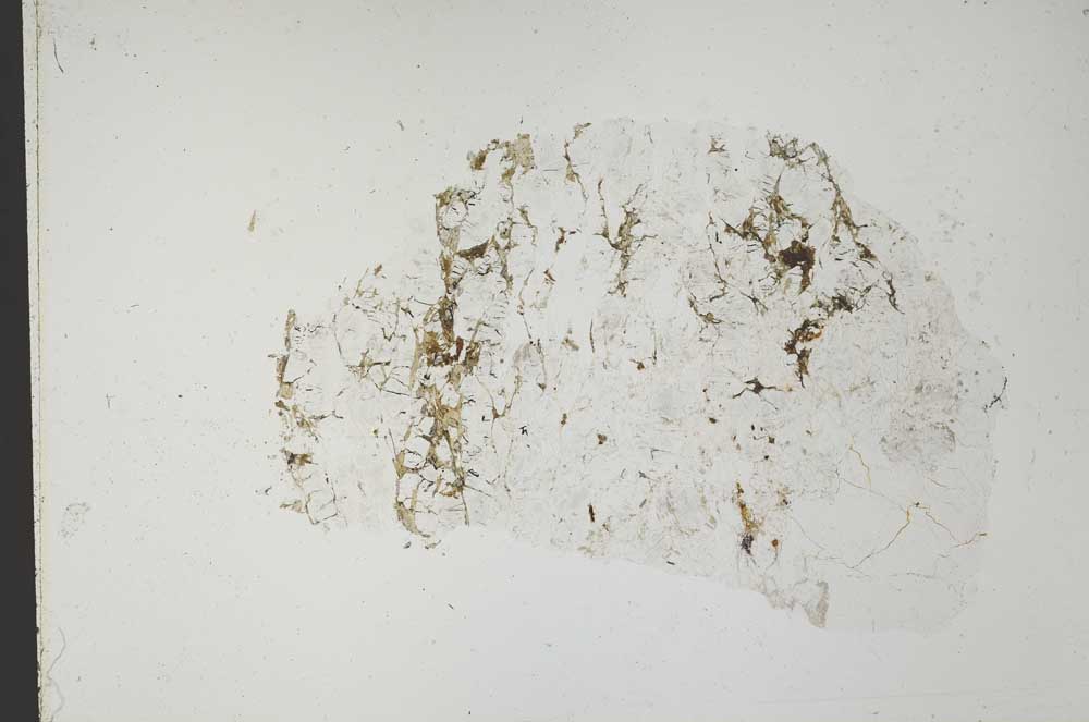 Plane Polarized, S51969