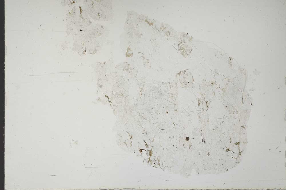 Plane Polarized, S51969/A