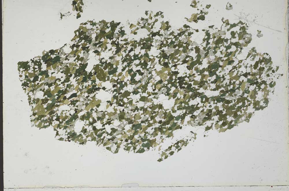 Plane Polarized, S51980