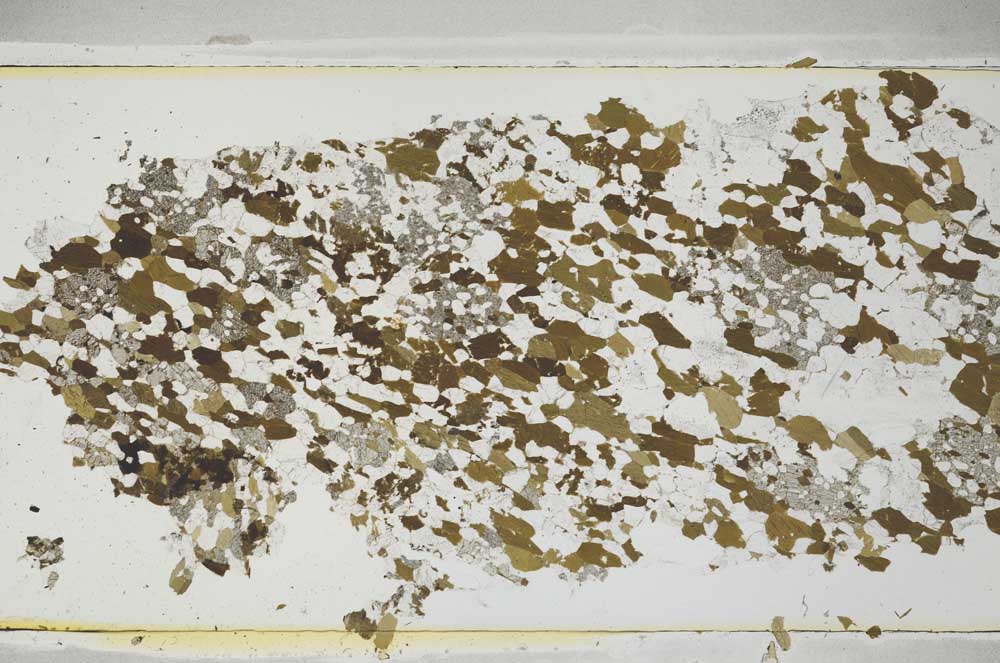 Plane Polarized, S51988