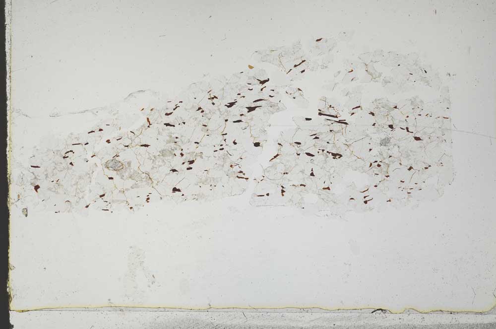 Plane Polarized, S51989