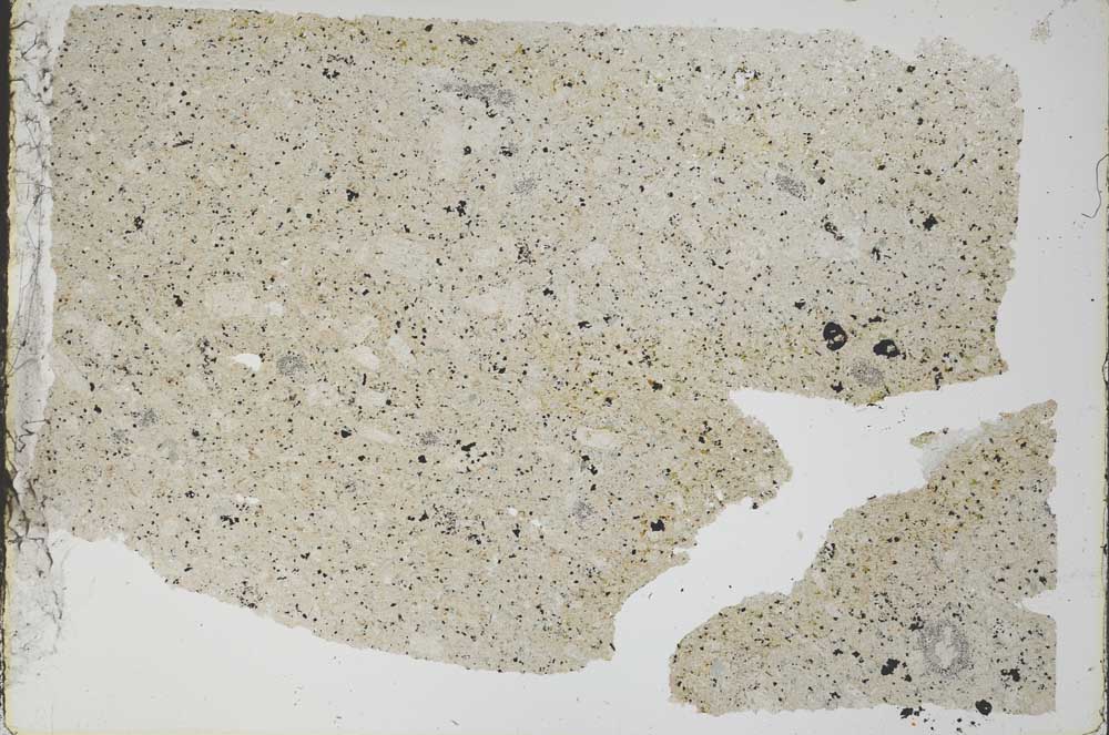 Plane Polarized, S52024