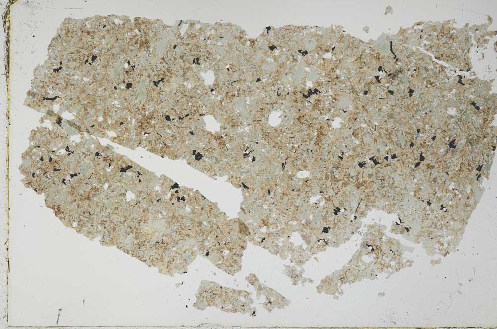 Plane Polarized, S52028