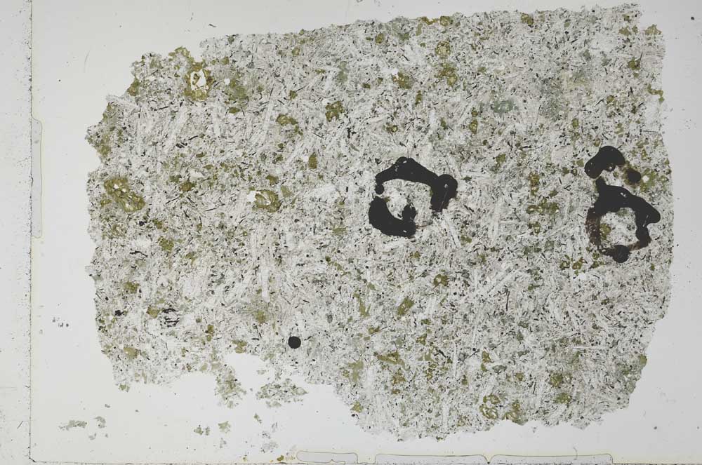 Plane Polarized, S52054