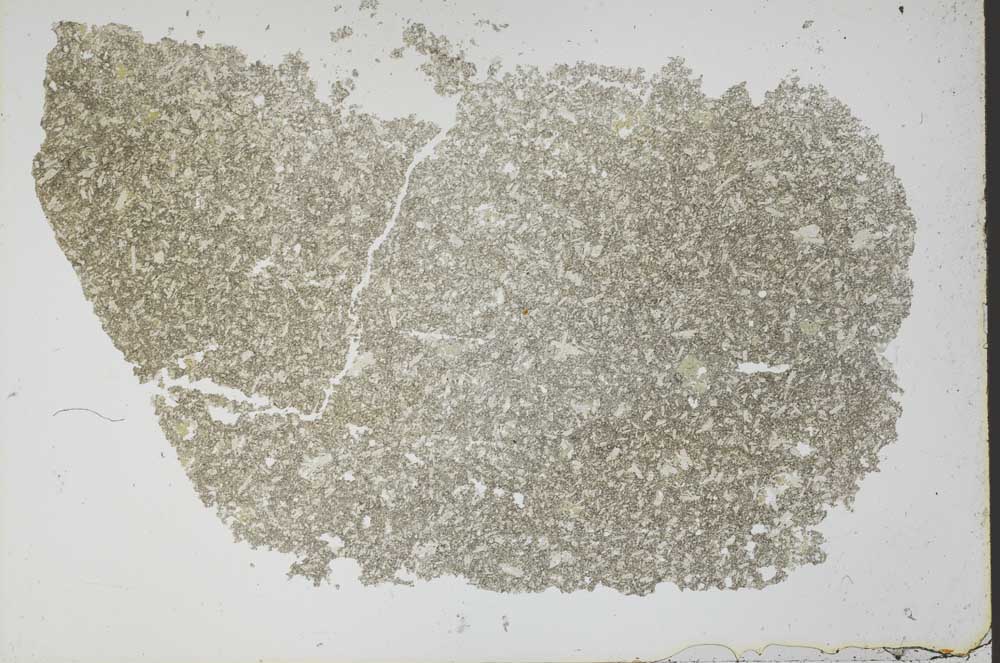 Plane Polarized, S52057