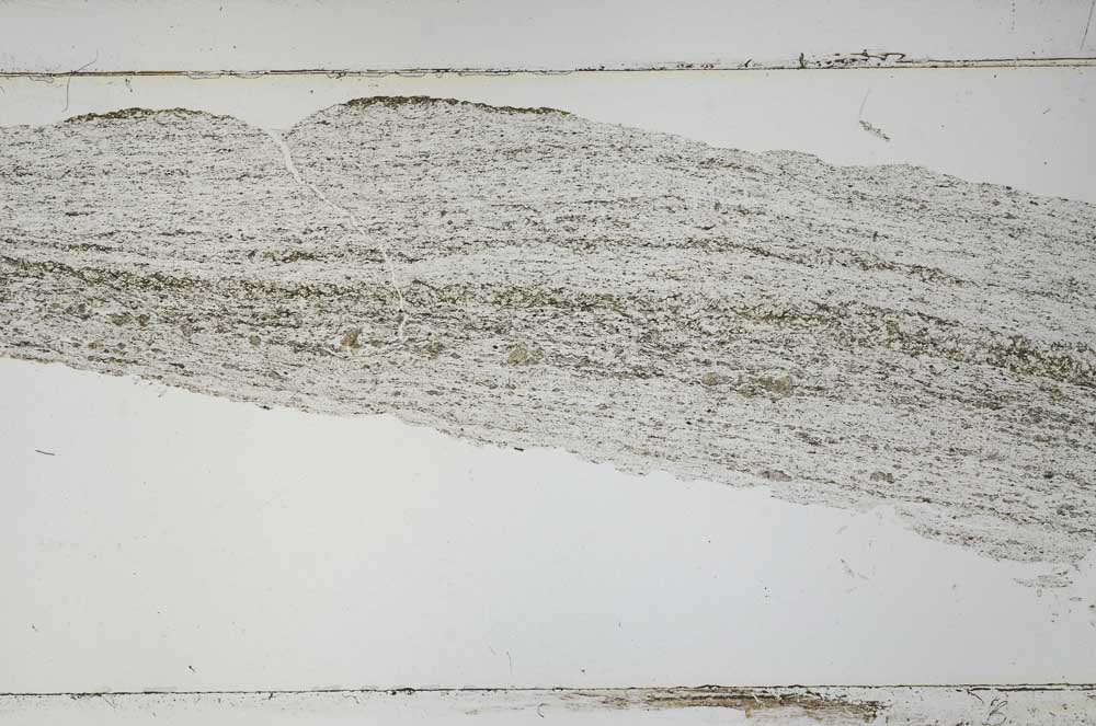 Plane Polarized, S52208