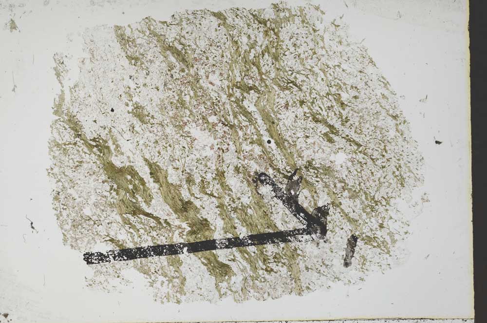 Plane Polarized, S52222
