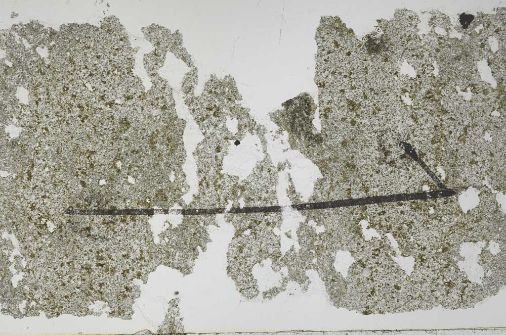 Plane Polarized, S52224