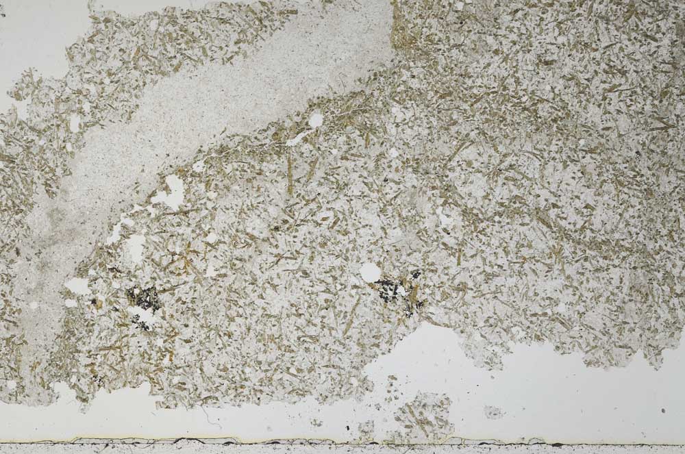 Plane Polarized, S52225
