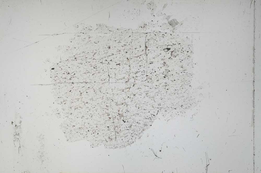 Plane Polarized, S52253