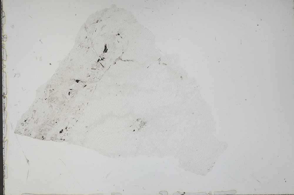 Plane Polarized, S52267