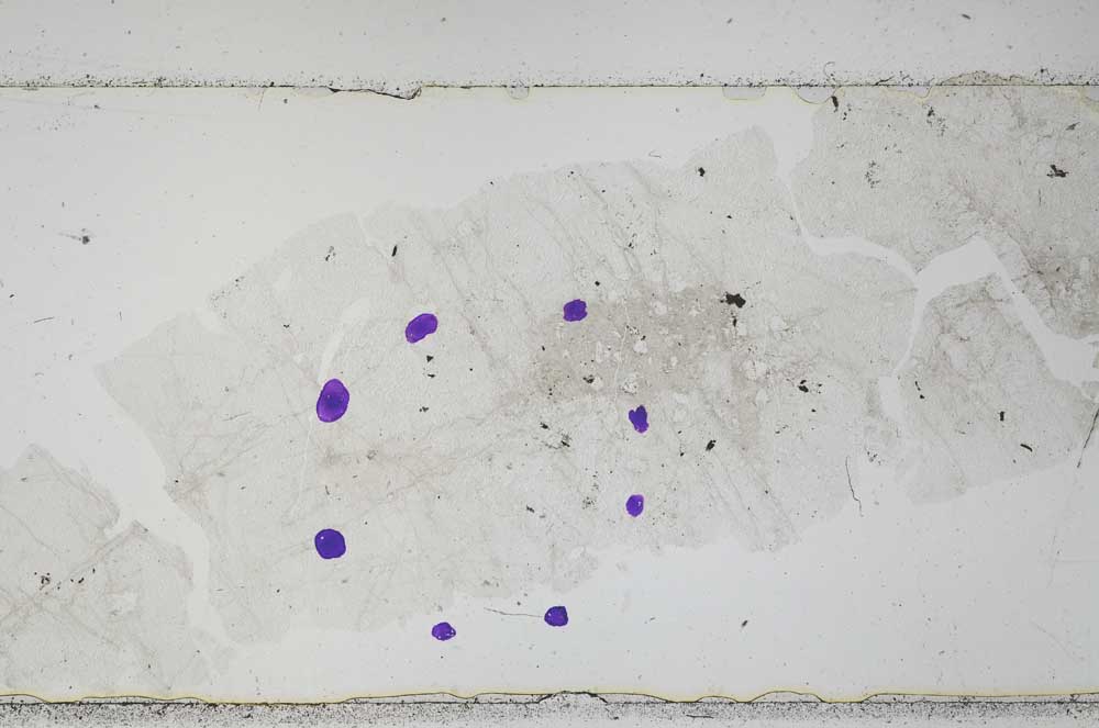 Plane Polarized, S52268