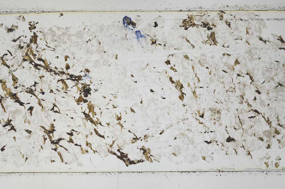 Plane Polarized, S52288