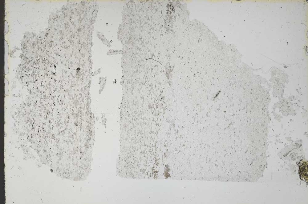 Plane Polarized, S52305