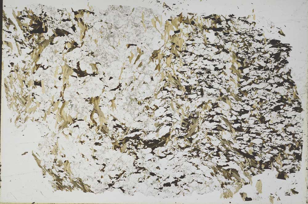 Plane Polarized, S52322