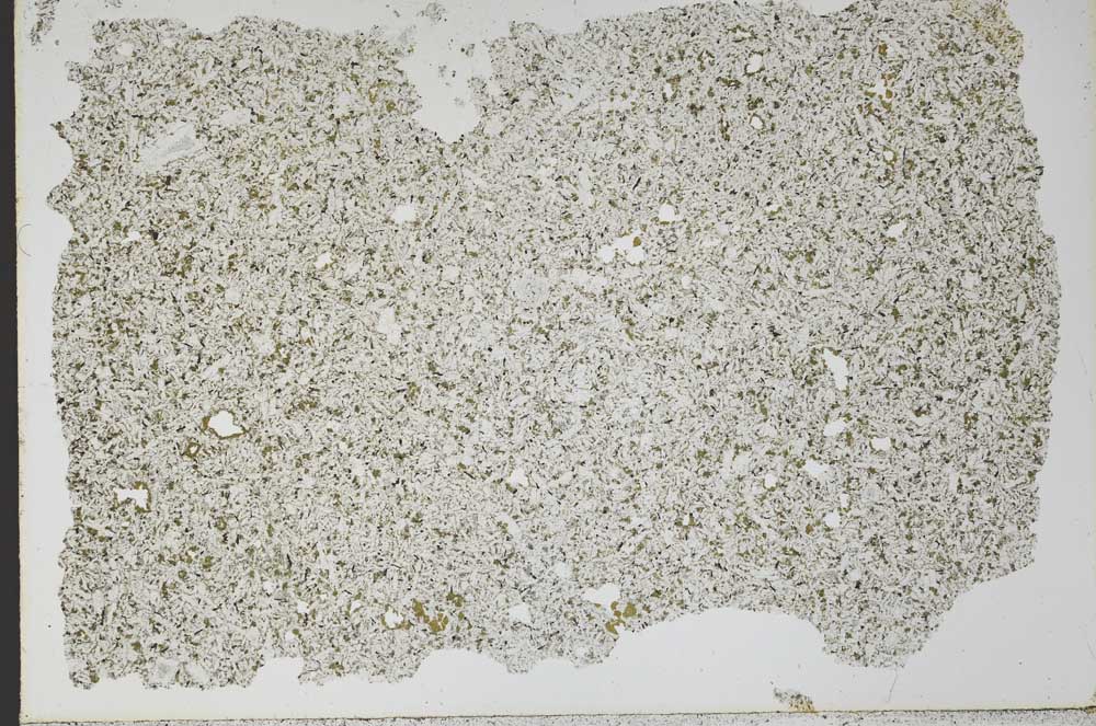 Plane Polarized, S52342