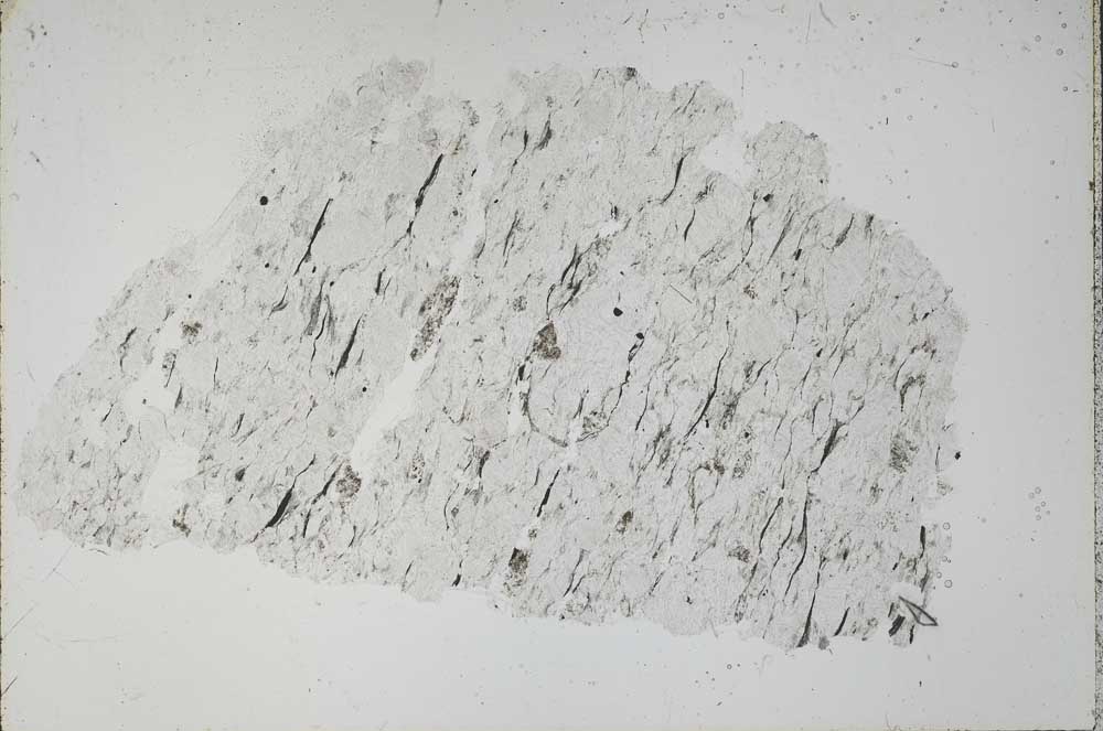 Plane Polarized, S52345