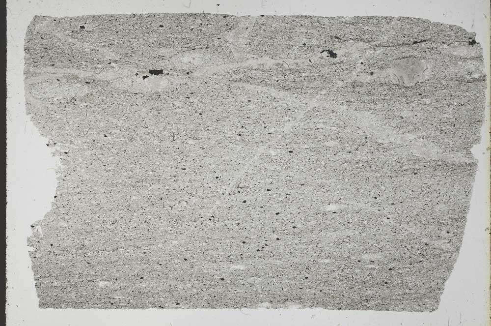 Plane Polarized, S52349