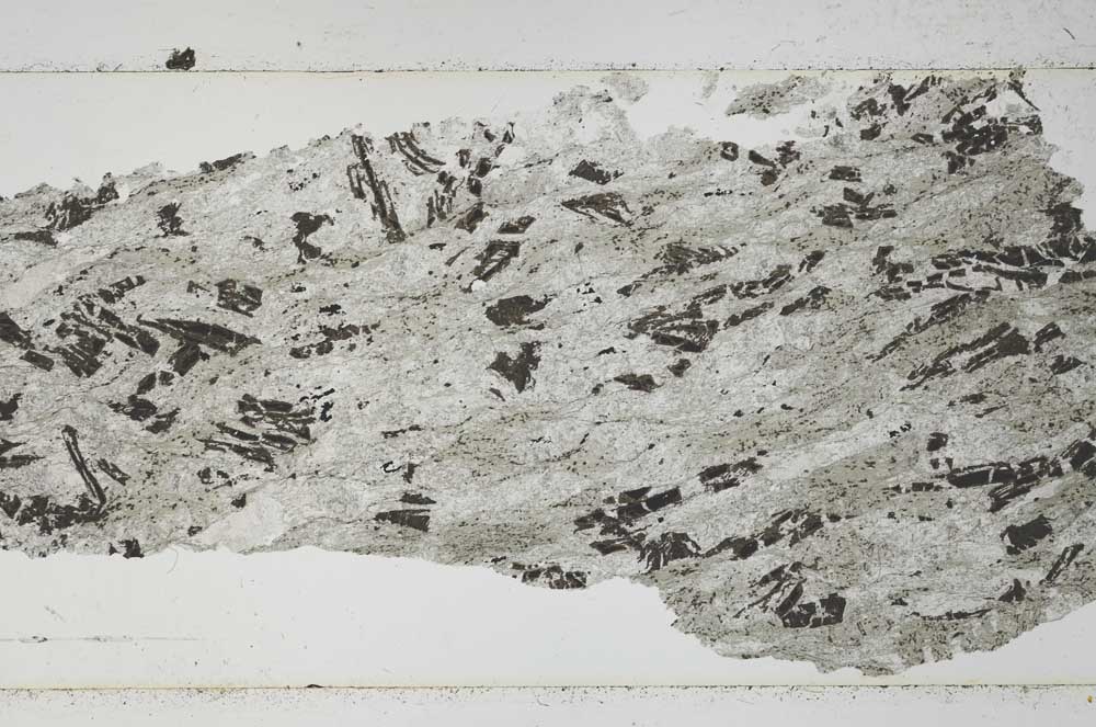 Plane Polarized, S52353