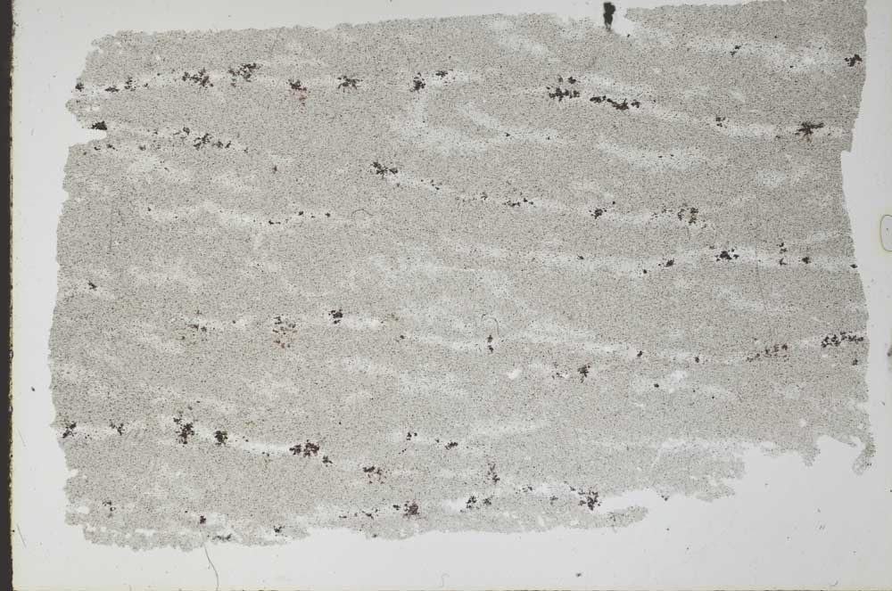 Plane Polarized, S52368