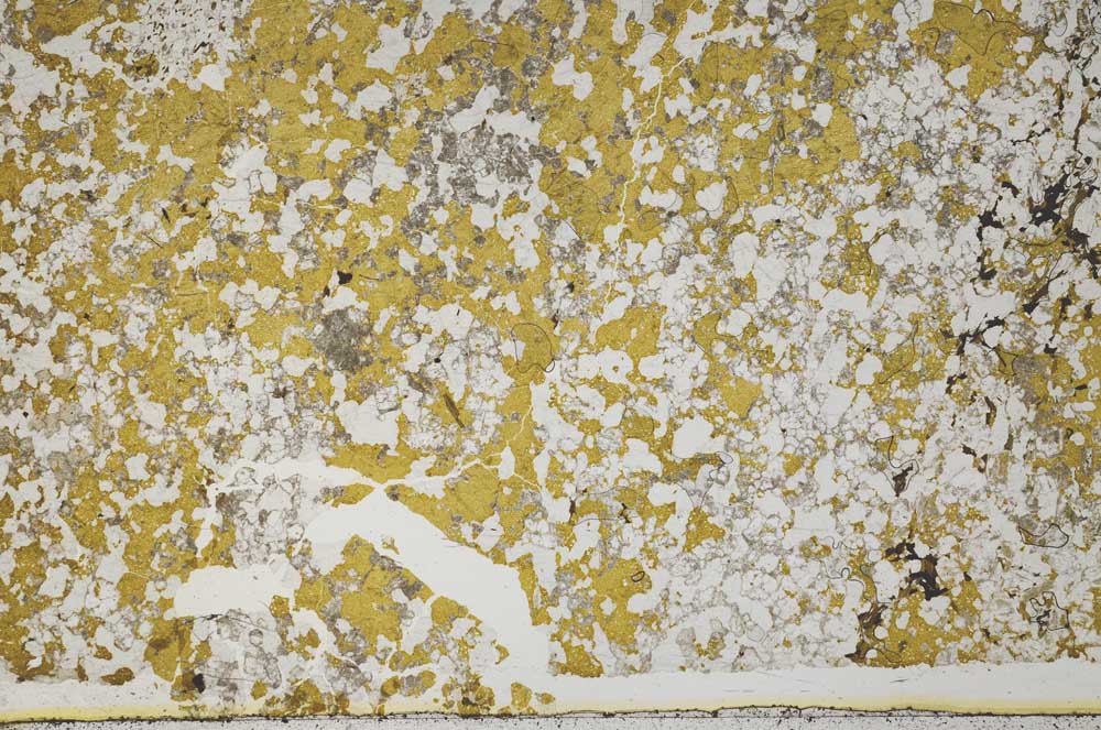 Plane Polarized, S52391