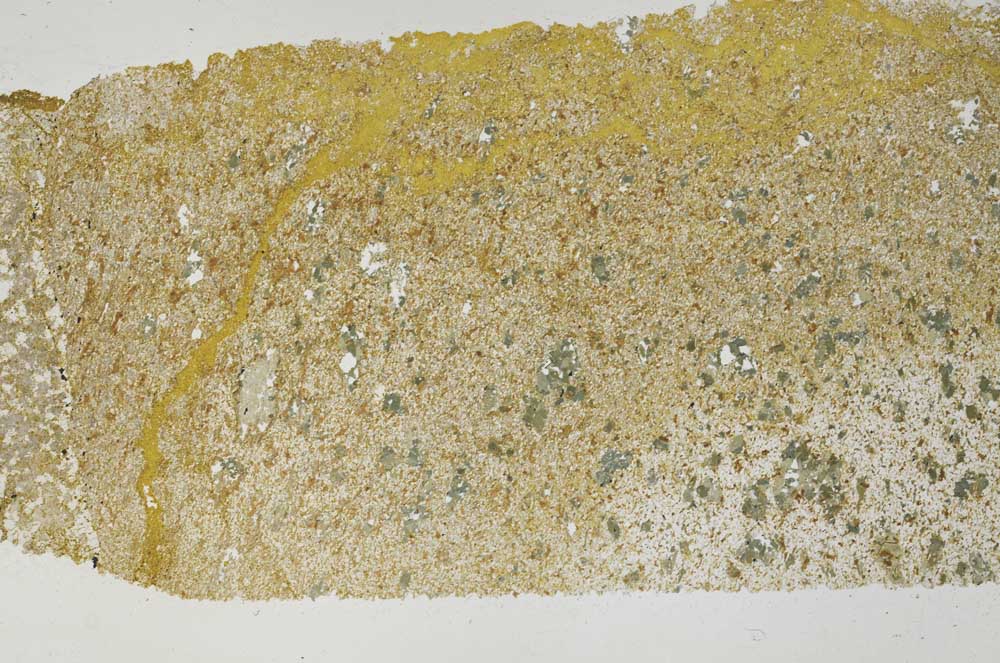 Plane Polarized, S52403