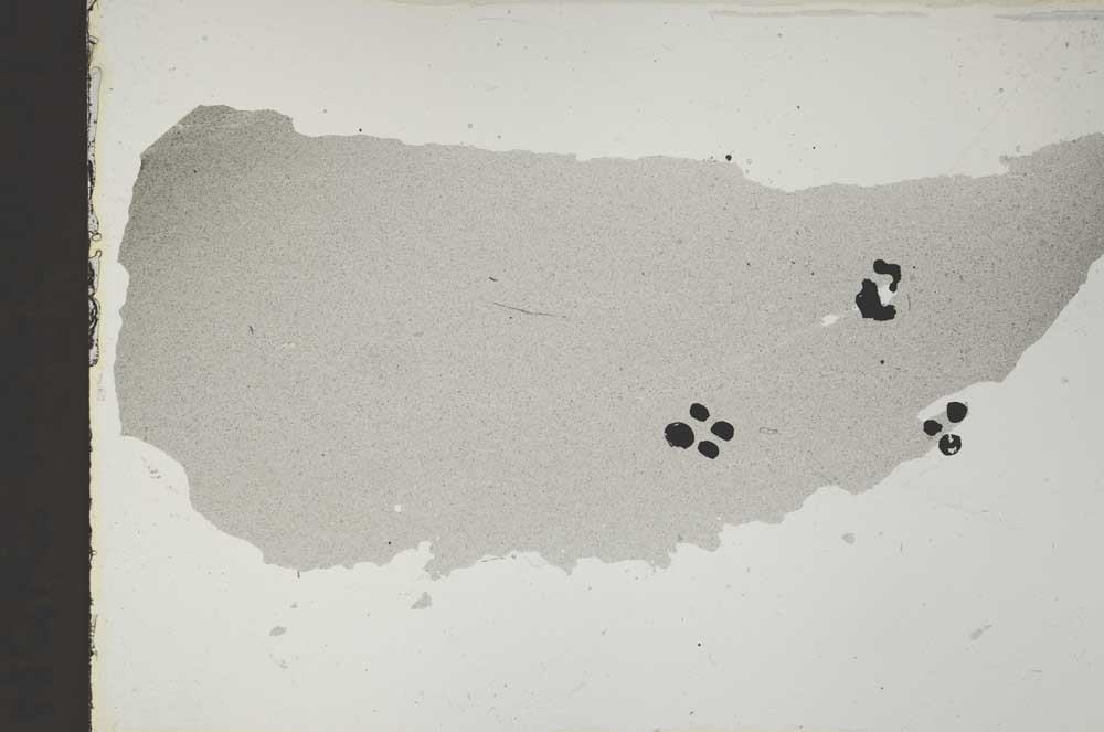 Plane Polarized, S52416