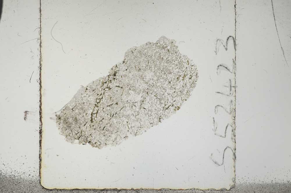 Plane Polarized, S52423