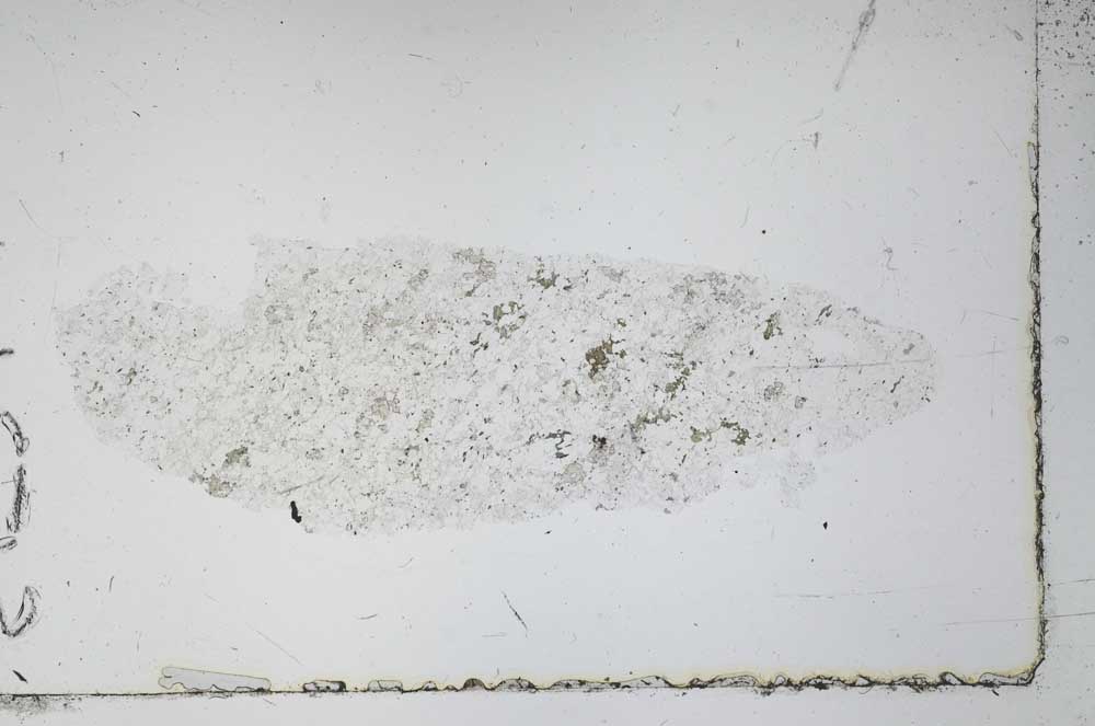 Plane Polarized, S52441