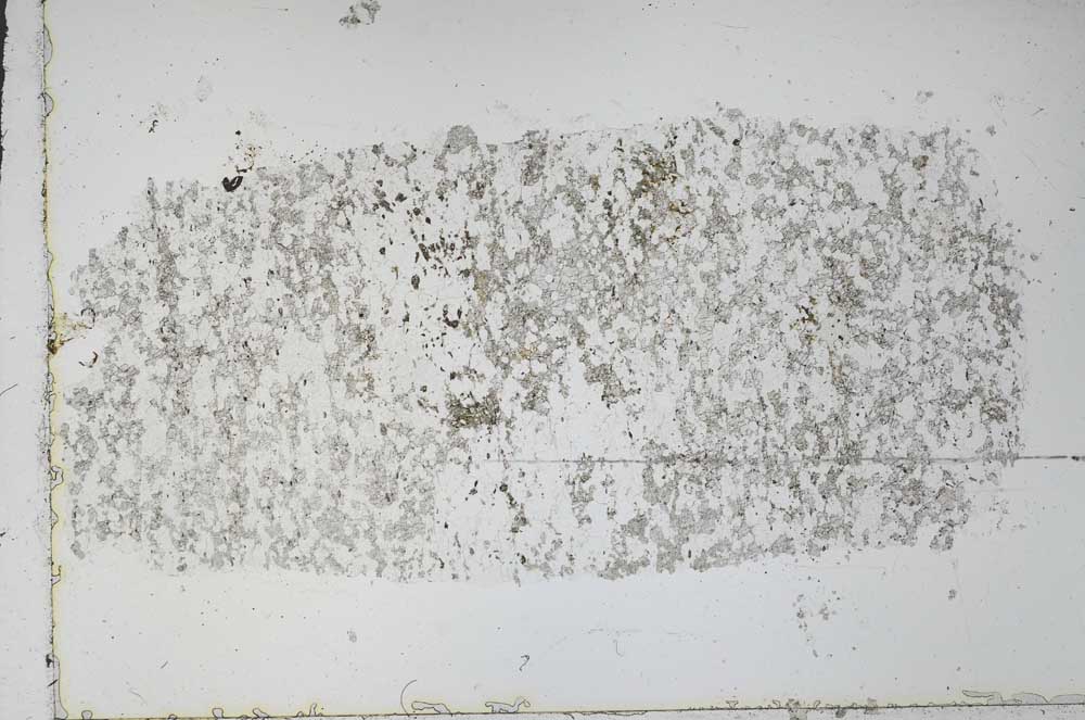 Plane Polarized, S52442